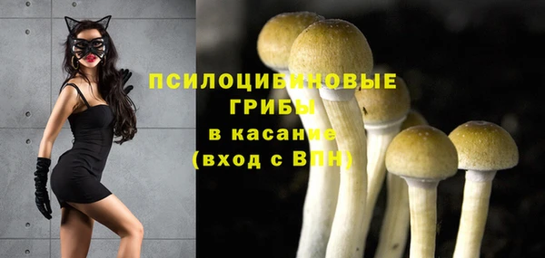 синтетический гашиш Алексин