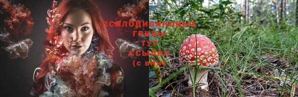 тгк Алексеевка